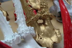 Lackierung von Tiergeweihen